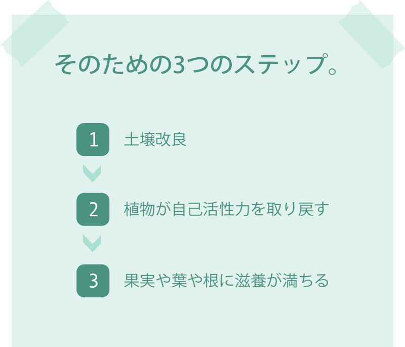 そのための３つのステップ。１、土壌改良。２、植物が自己活性を取り戻す。３、果物や葉や根に滋養が満ちる